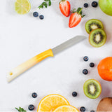 Kitchen Knife With Stainless Steel Blade (1 PC)