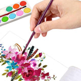 Painting Water Color Kit For Kids - 12 Shades And Paint Brush (13 Pcs)