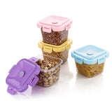 Plastic Food Storage Containers With Lid (4 Pcs Set - 500 ML Capacity)