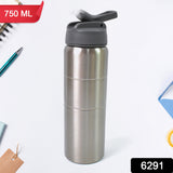 Steel Water Bottle With Straw | Fridge Water Bottle Set of 1 | Leak &  Rust Proof Bottle Suitable for home, office, gym, outdoor activities, and straw bottle more(750 ML)