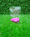 Pull Push Back Action Robot plane Toy for Kids, Racing Plane Toy, Plane Robot Racing Toy Plane