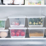 Food Storage Container With Removable Drain Plate And Lid 1500 ML (Pack Of 1 PC)