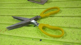 Multi function Vegetable Stainless Steel Herbs Scissor With 5 Blades (1 Pc)