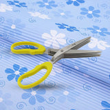 Multi function Vegetable Stainless Steel Herbs Scissor With 5 Blades (1 Pc)