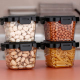 Plastic Food Storage Containers With Lid (4 Pcs Set - 500 ML Capacity)