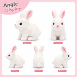 Electric Walking & Hopping Rabbit Toy with Sound & LED Light, Interactive Bunny Toy for Kids